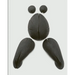 Corpus