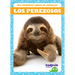 Los Perezosos (Sloths)