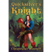 Quicksilver's Knight