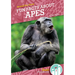 Fun Facts about Apes
