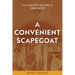 A Convenient Scapegoat