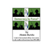 Democracy by Force?: A Study of International Military Intervention in the Civil War in Sierra Leone from 1991-2000