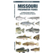 Missouri Freshwater Fishes: A Folding Pocket Guide to Native and Introduced Species