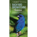 Backyard Birdwatching in Houston: An Introduction to Birding and Common Backyard Birds of Southeastern Texas