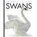 Swans