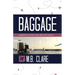 Baggage: A Memoir of Travel That Went off Script