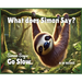 What does Simon Say?: Simon Says: Go Slow