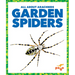 Garden Spiders