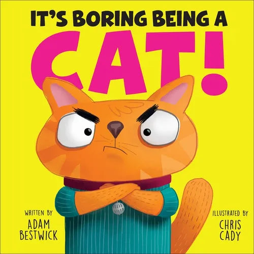 It's Boring Being a Cat!