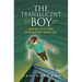 The Translucent Boy and the Girl Who Dreamed She Could Fly
