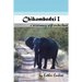 Chikombedzi I - A Missionary Wife Writes Home