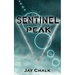 Sentinel Peak