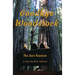 Goodbye Woodstock: The Last Reunion