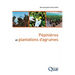Pépinières et plantations d'agrumes