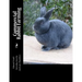 Commercial Rabbit Farming