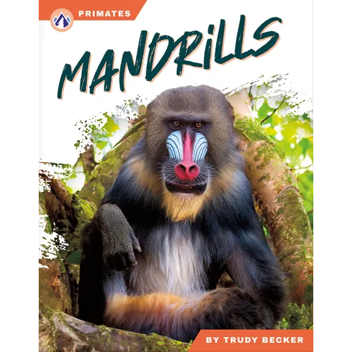 Mandrills