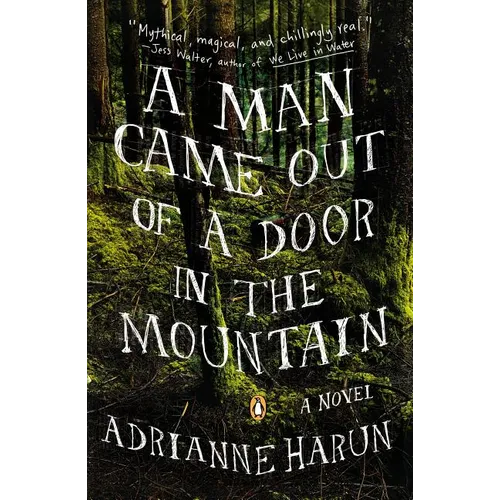 A Man Came Out of a Door in the Mountain
