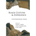 Black Culture and Experience: Contemporary Issues