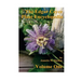 The Edgar Cayce Plant Encyclopedia Volume One