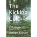 The Kicking Colt: A Step with and a Step Away from Plato