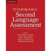 The Cambridge Guide to Second Language Assessment
