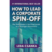 How to Lead a Corporate Spin-Off: The Tech Leader's Survival Guide to a Strategic Divestiture