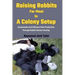 Raising Rabbits For Meat In A Colony Setup: Sustainable And Efficient Meat Production Through Rabbit Colony Farming