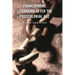 Francophone Literature After the Postcolonial Age