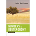 Numbers and Deuteronomy for Everyone