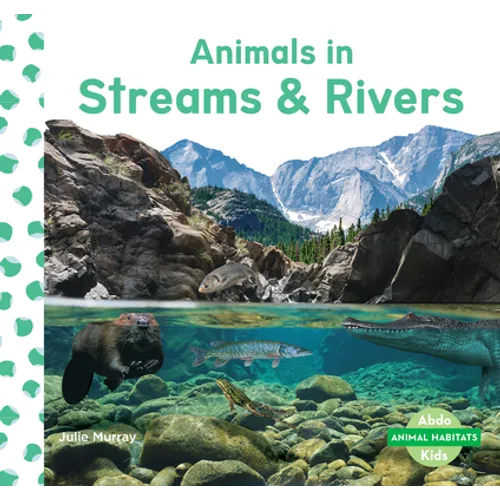 Animals in Streams & Rivers