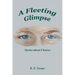 A Fleeting Glimpse: Stories about Choices