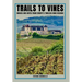Trails to vines: Images and notes from Europe's timeless wine regions