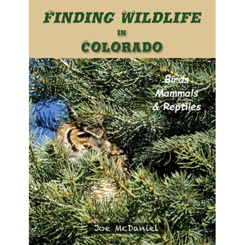 Finding Wildlife In Colorado: Birds, Mammals and Reptiles