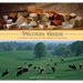 Wisconsin Cheese: A Cookbook And Guide To The Cheeses Of Wisconsin