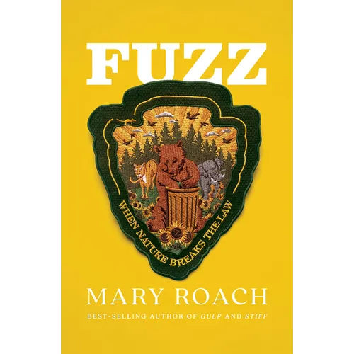 Fuzz: When Nature Breaks the Law