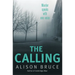 The Cambridge Calling: -
