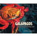 Galápagos: Where the Wild Things Are