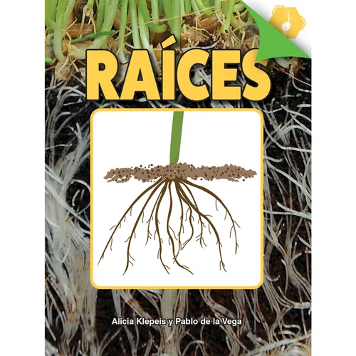 Raíces: Roots