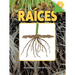 Raíces: Roots