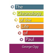 The Chronology of the Life of Paul