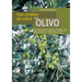 Guía completa del cultivo del olivo
