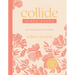 Collide Bible Study with Streaming Video Access: A Six-Week Journey Toward Healing