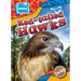 Red-Tailed Hawks