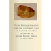 First Nations bracelet from the northwest coast of British Columbia collected by George Mercer Dawson in the 1800s
