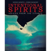 Intentional Spirits: Voices from the Titanic