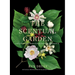 The Scentual Garden: Exploring the World of Botanical Fragrance