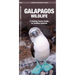 Galapagos Wildlife: An Introduction to Familiar Species