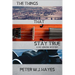 The Things That Stay True: A Vic Lenoski Mystery
