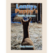 Lenny & Puppy's Wildlife Adventure