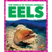 Eels